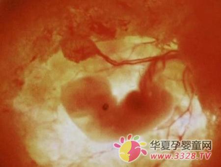 �����׸�����������ϸ���ա�������