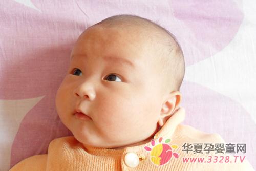 ����Ӧ������������ѡĥ��ʳƷ