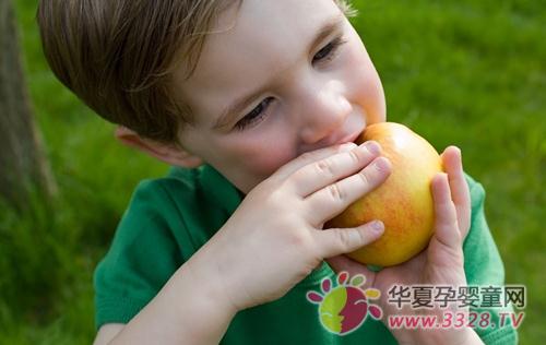 ���ñ����������ε�ʳ������Щ