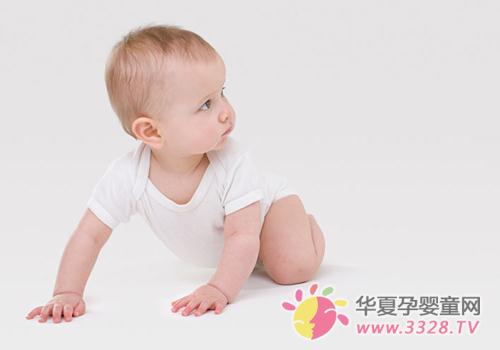 ������ι��ʳ����Ҫ������