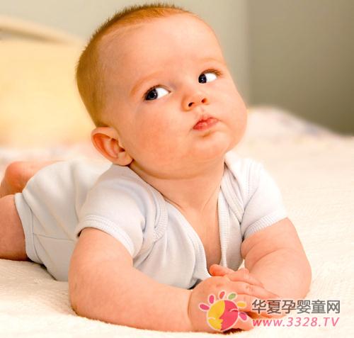 ������ʳ������������