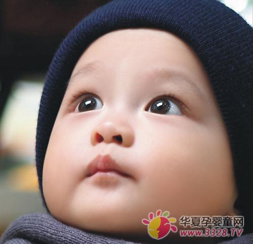 �ļ�Ӫ�����ڳ�θ����ʳ��