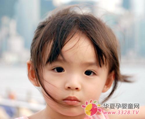 ������ʳ��������Ҫ