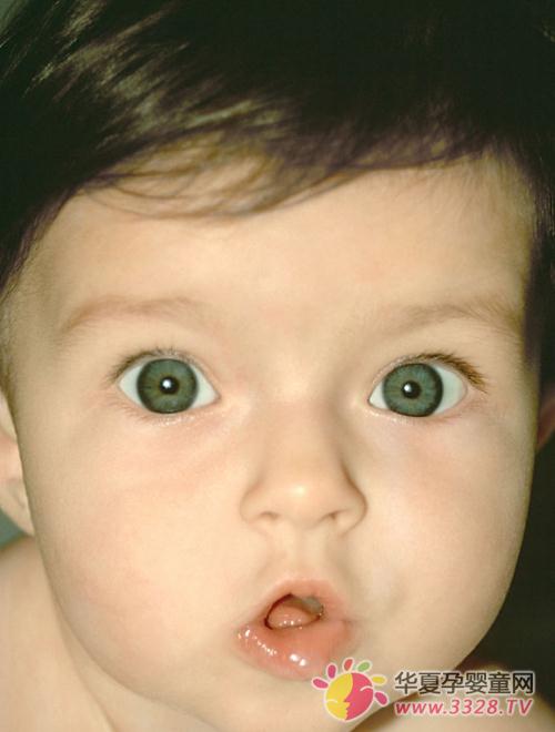 ��ʳר����ʾ����θ��������Ӹ�ʳ