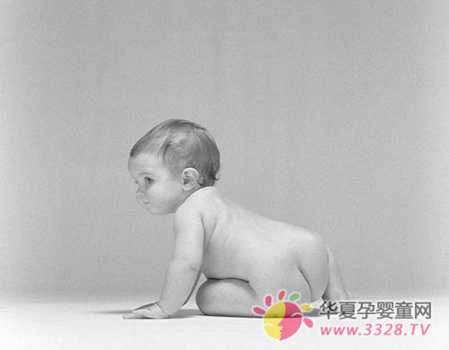 ������ι��ʳҪ�й̶���ʱ��