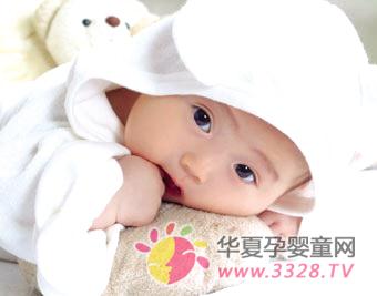 ������24Сʱ�ڳ����������