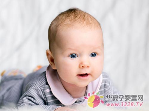 Ӥ����ʳ����Щ����