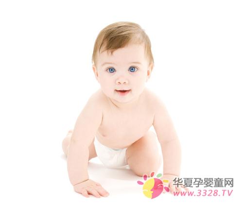 ������״��ʳ������