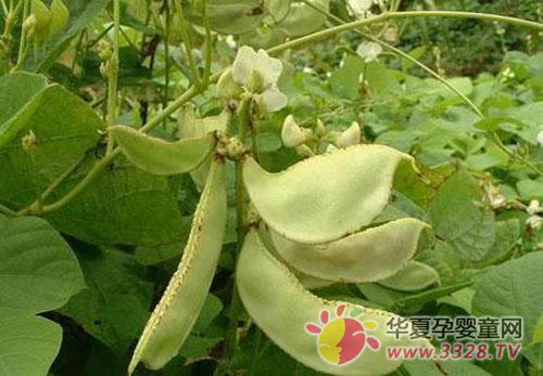 �ױⶹ�ǰ�ܿ����