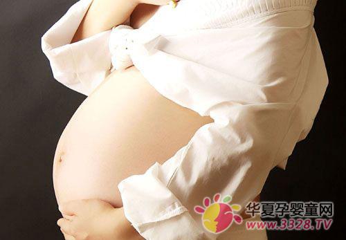 ��Ѫ�Ƕ������̥����Σ��