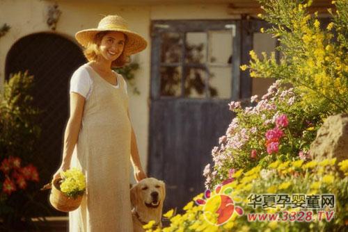 �и�Ӫ�������ı���