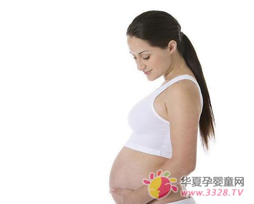 ̥��������ĸ��ĸ��ʳɳ�