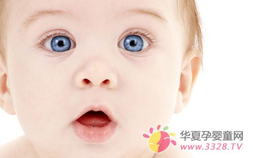 ��������Ӧ��С����