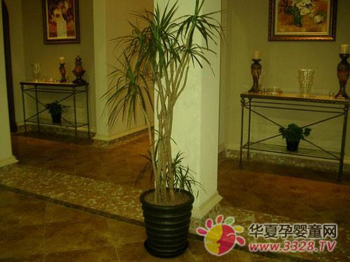 ���䶼�������Ķ�