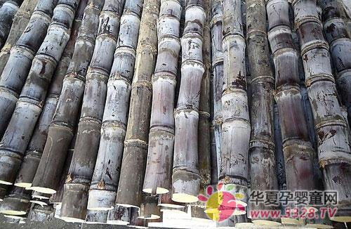 �и����ԳԸ�����