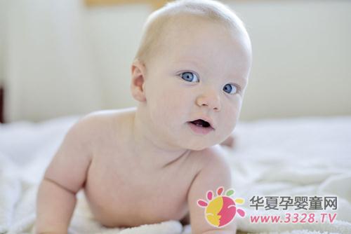 ��̥������׼����Ӧ��ע���ʮ��