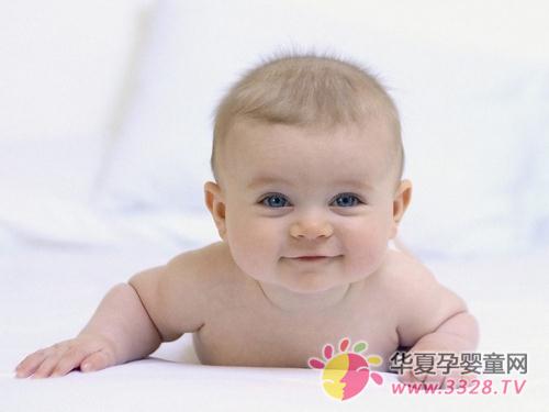 �Ҷ��ʺϱ��������ĺǻ�����