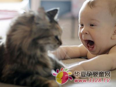 ������Ρ��㡱���ɣ�