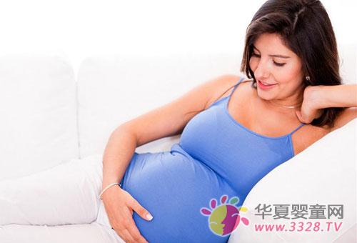 ����̥�̵������ƻ�