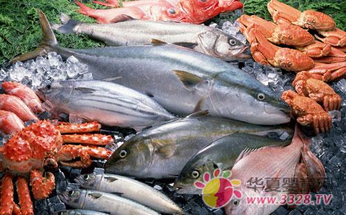 �и���Ϻ�ȳ����Ӫ����ֵ�ߵķ���