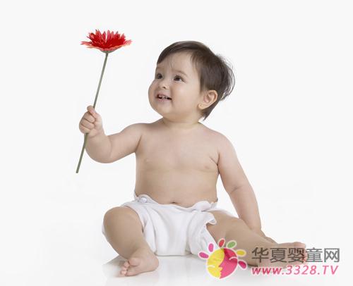 ��̵��������