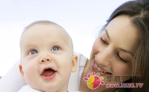 ��ʳ������������