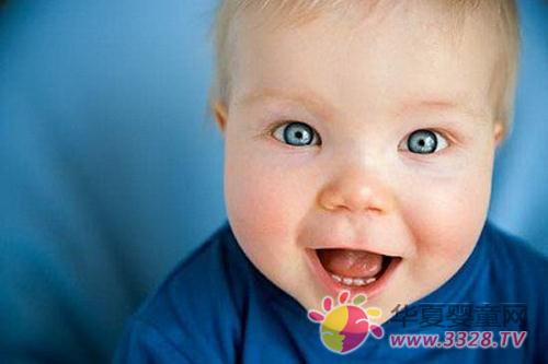 �ű�����������