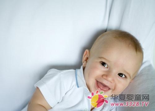 Ŧ��ţ�������