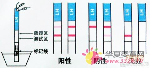 ����ֽҪ�ῴ