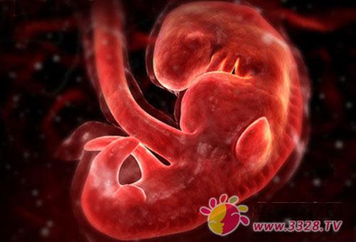 ̥ͣ����ô��