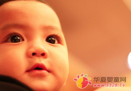 Ӥ�������ѡ�ĸ���