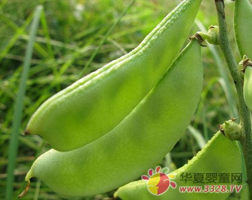 �ⶹ��ʲôӪ����ֵ