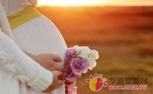 �и��̷������Ⱥ�