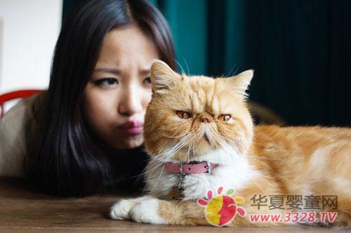 èץ����ô����