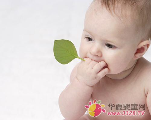 Ӥ����������8��ʱ��