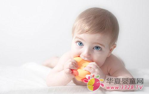 �������Ŵ���������