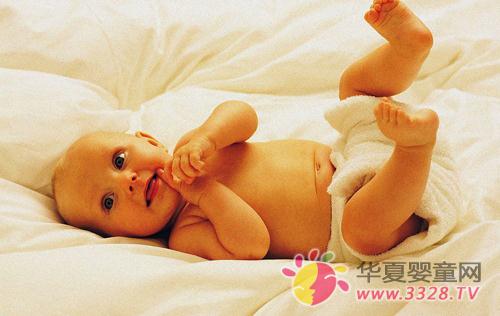 ��ӯţ���������