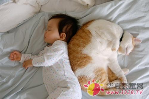 Ӥ������û����