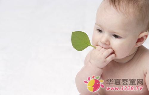 Ӥ����������