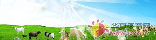 ʲôƷ�Ƶ����̷ۺ�