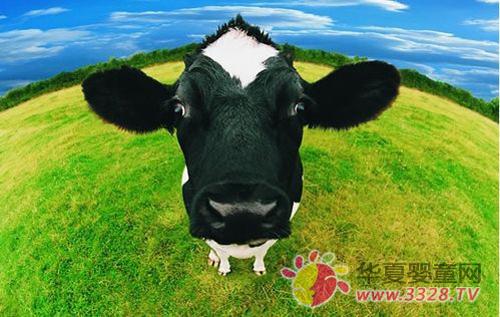 ���̱�ţ�̸��ʺ�Ӥ��