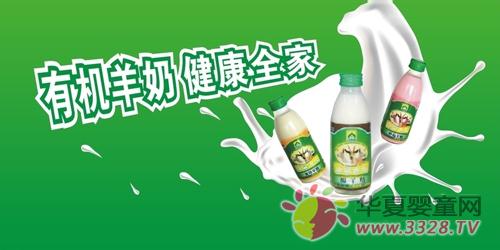 ���ʺϺ����̵���