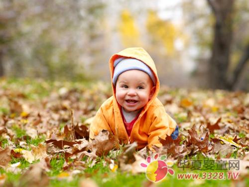 �����ñ�����ȫ�ȹ����ｻ��