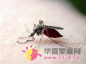 �ļ�������������ҧ����ë��