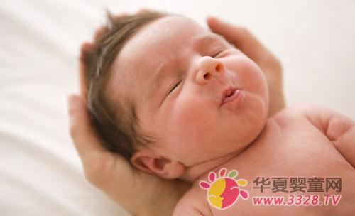 ������ô�������ձ����������