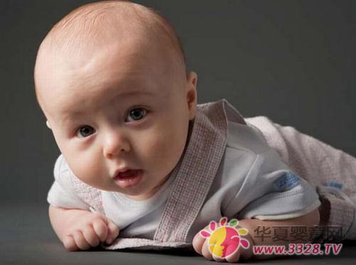 ������ʪ�����ü���������