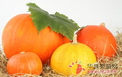 �������軺����֫���׵�3��ʳ��