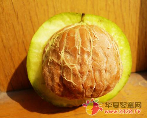 �ʺ�����ɺ��ҷֱ�����ЩӪ��