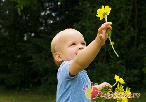 ����������̫ǿ��ܲ���