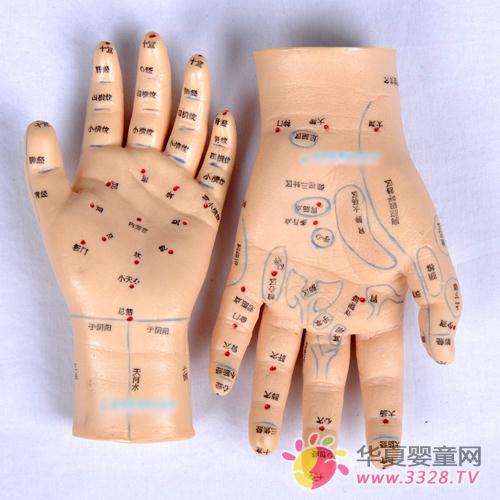 С�����ڿɿ�����̬